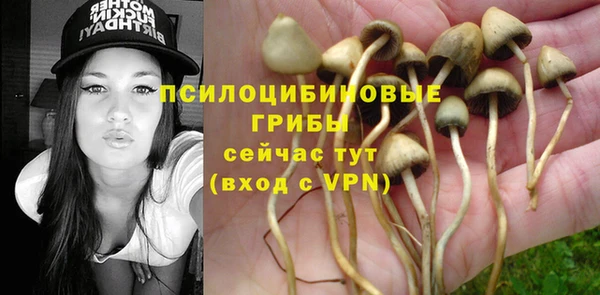 наркотики Зерноград