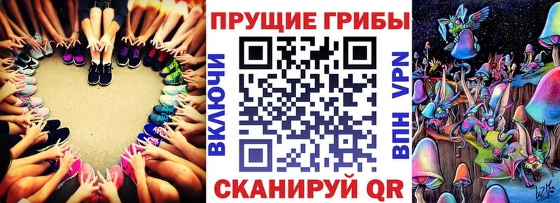 Купить закладки  Любим  Псилоцибиновые грибы MAGIC MUSHROOMS 